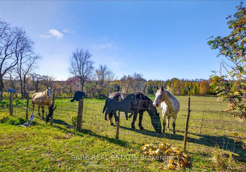 302694-douglas-street-west-grey-ontario-x12909922