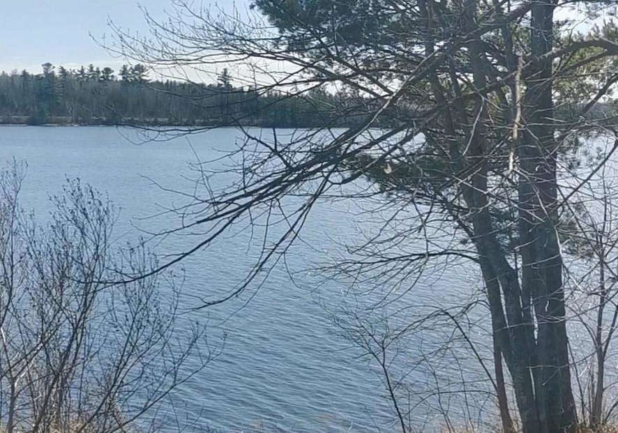 297-nickel-lake-shores-road-rainy-river-ontario-x12911042