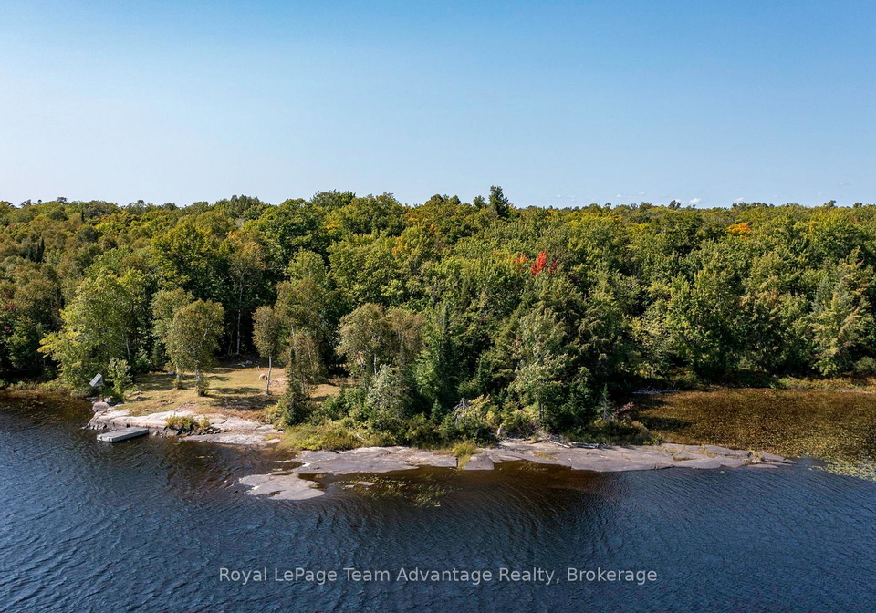46-taylor-lake-road-whitestone-ontario-x12911720