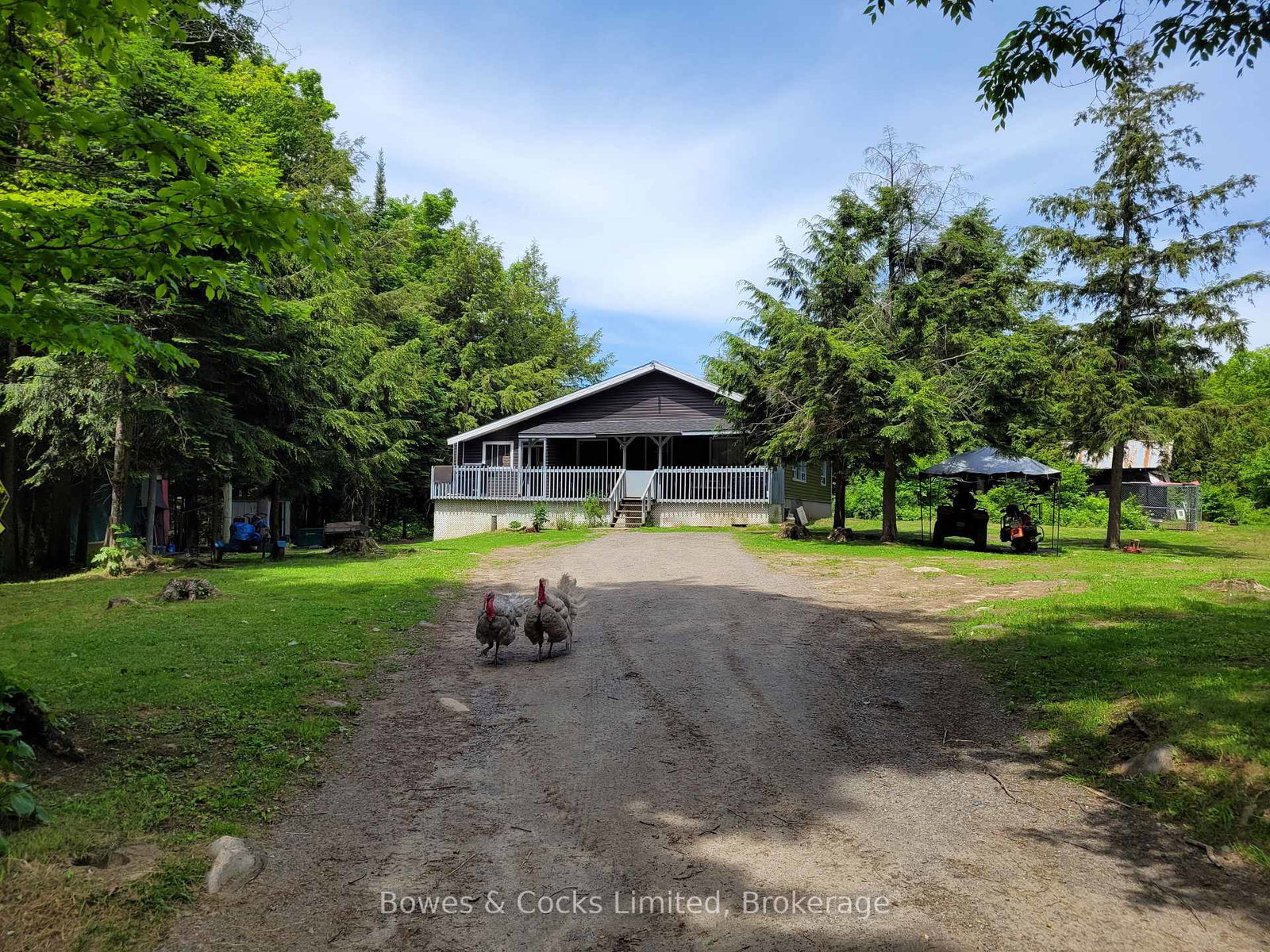 246-hickey-trail-hastings-highlands-ontario-x12911906