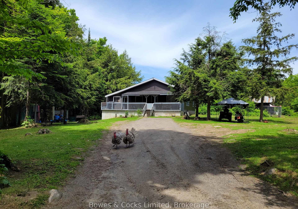 246-hickey-trail-hastings-highlands-ontario-x12911906