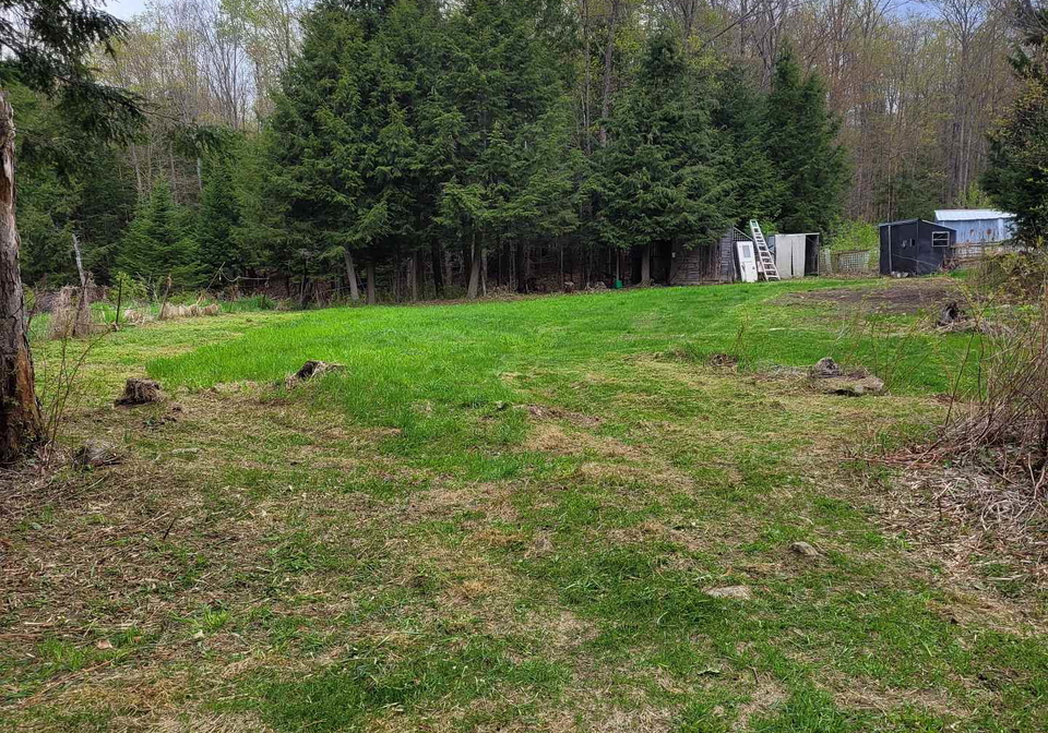 246-hickey-trail-hastings-highlands-ontario-x12911906