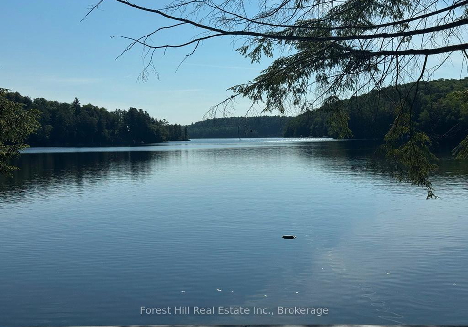 1293-causeway-drive-algonquin-highlands-ontario-x12912902