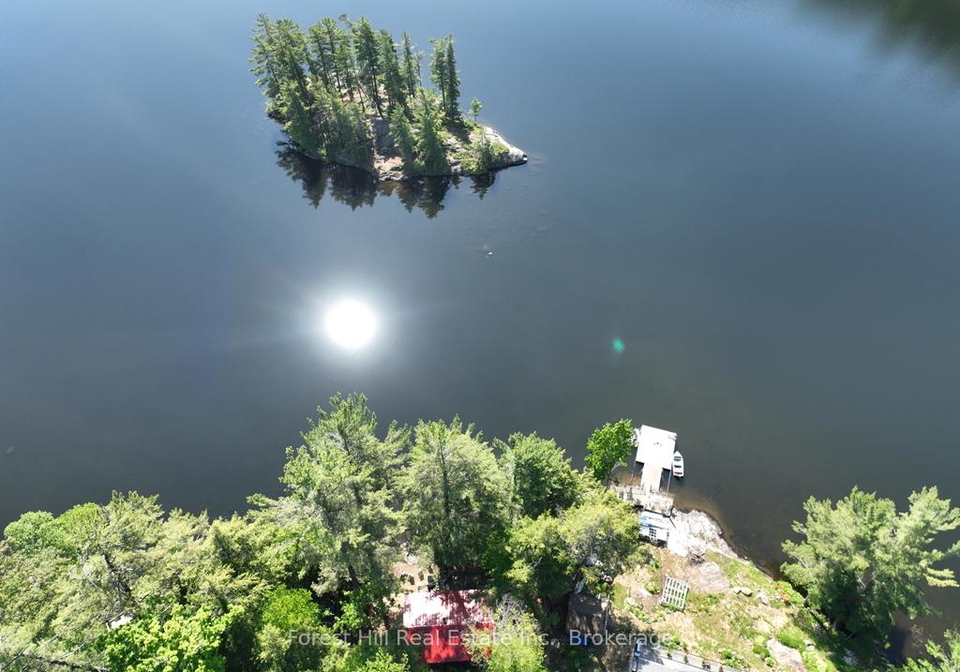 1293-causeway-drive-algonquin-highlands-ontario-x12912902