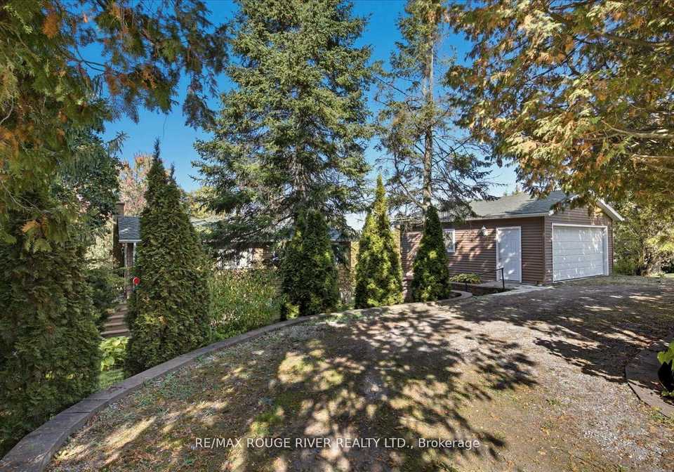 65-cedarview-drive-kawartha-lakes-ontario-x12914826