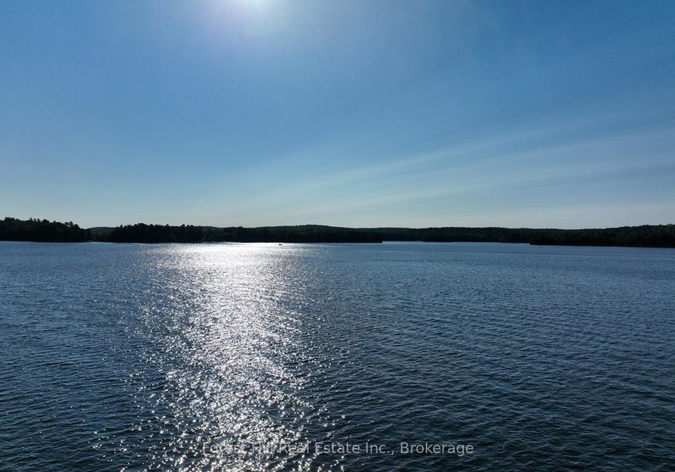 10689-kawagama-lake-wao-algonquin-highlands-ontario-x12917798