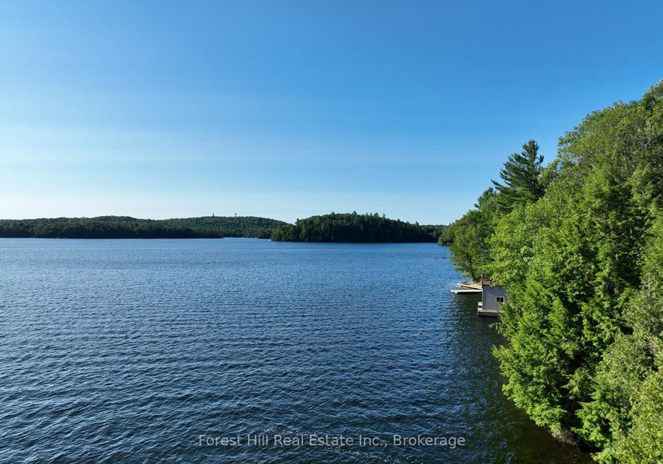 10689-kawagama-lake-wao-algonquin-highlands-ontario-x12917798