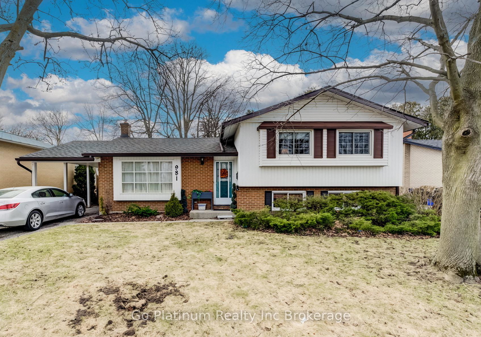 981-nesbitt-crescent-woodstock-ontario-x12919650