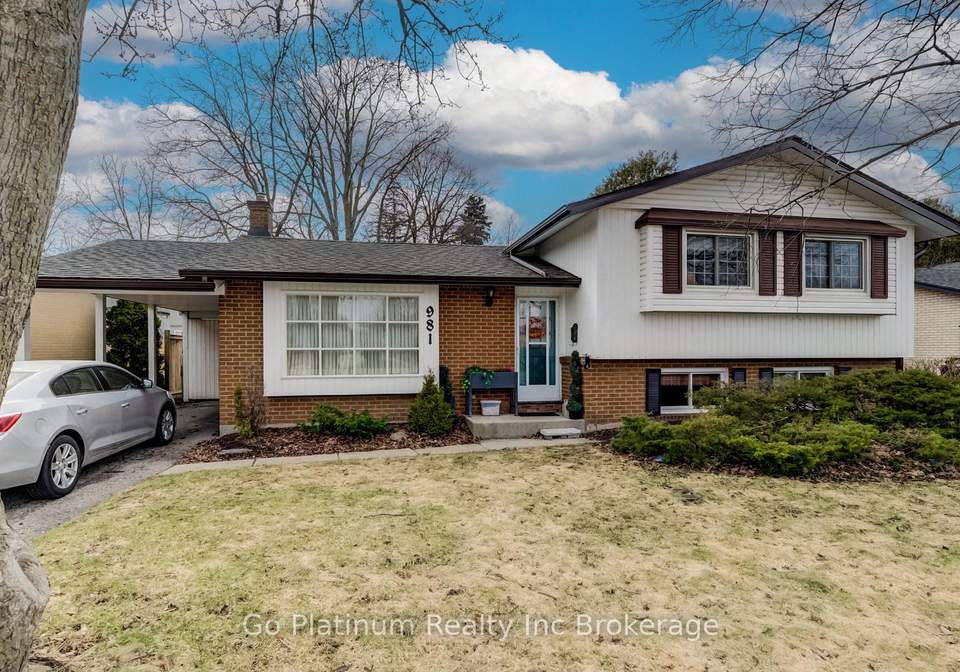 981-nesbitt-crescent-woodstock-ontario-x12919650