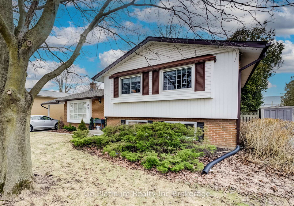 981-nesbitt-crescent-woodstock-ontario-x12919650
