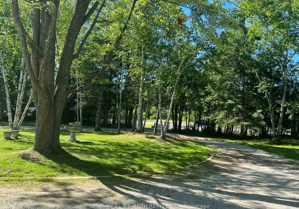 209846-26-highway-blue-mountains-ontario-x12920186