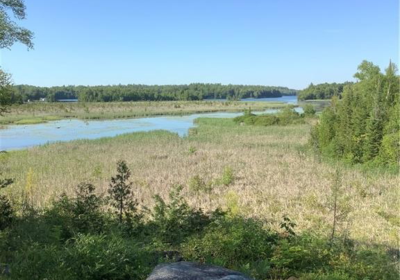 1165b-kirk-kove-road-frontenac-ontario-x12921112