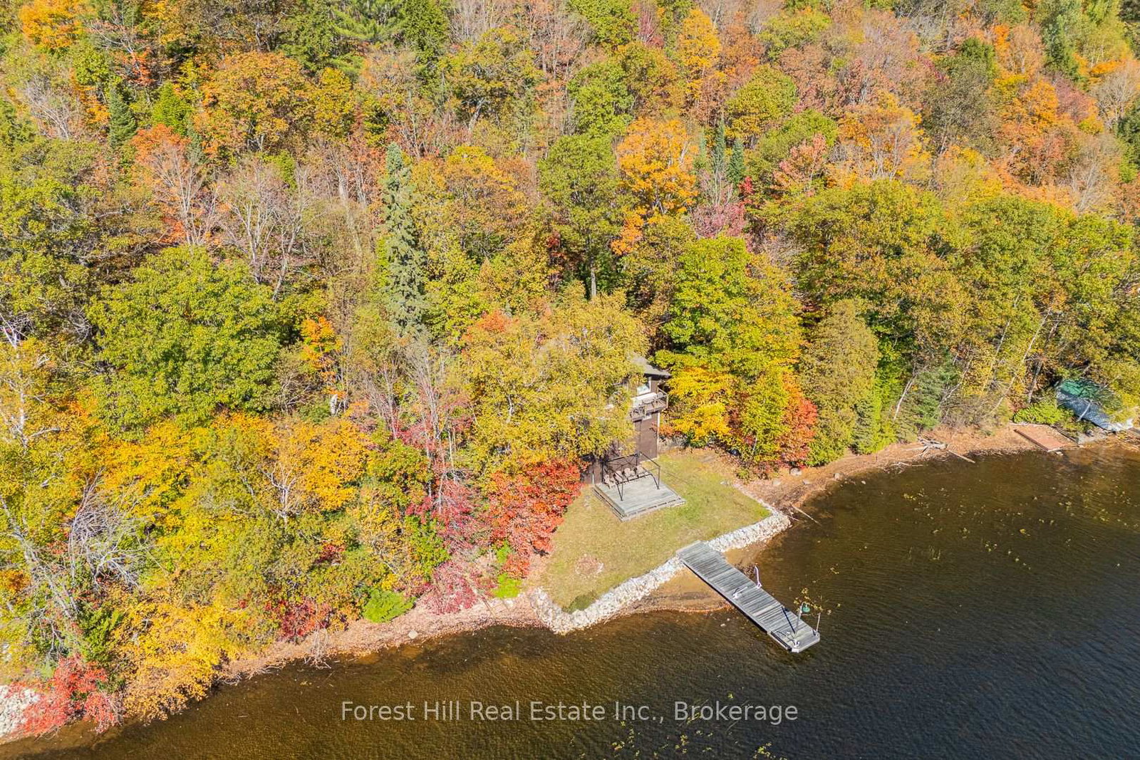1187-ivy-lane-algonquin-highlands-ontario-x12922028