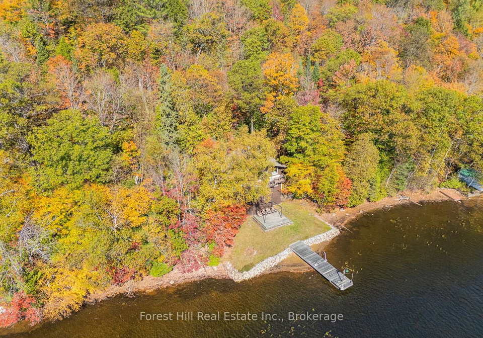 1187-ivy-lane-algonquin-highlands-ontario-x12922028