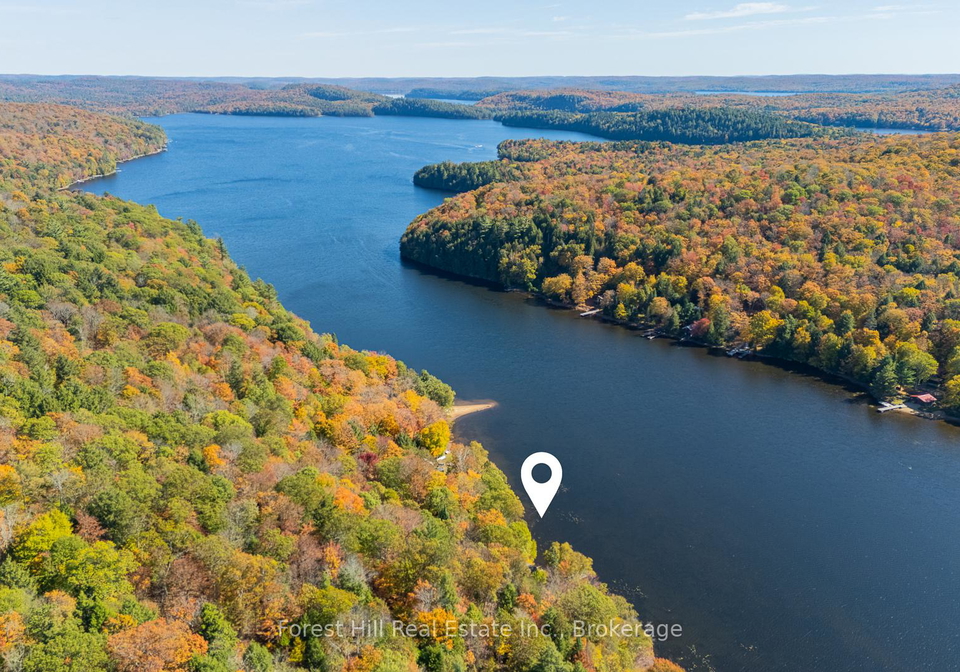 1187-ivy-lane-algonquin-highlands-ontario-x12922028