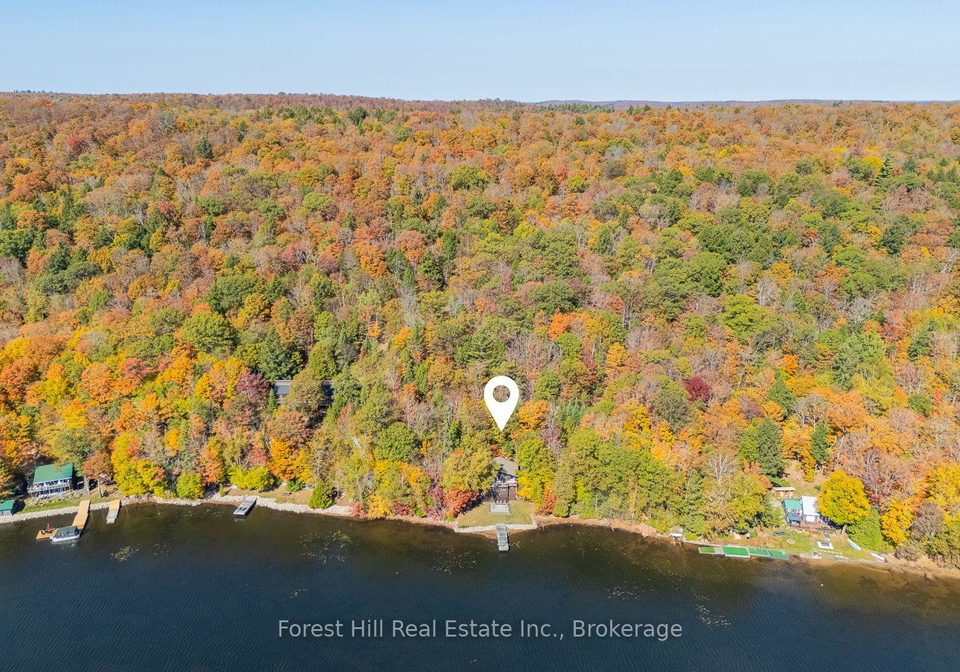 1187-ivy-lane-algonquin-highlands-ontario-x12922028