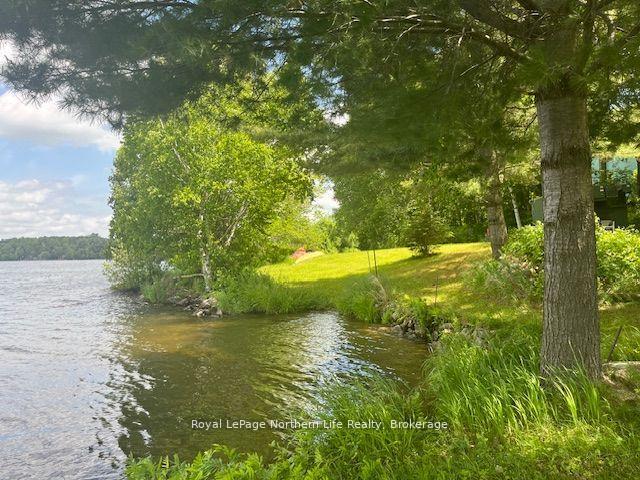 106-cedar-bay-road-east-ferris-ontario-x12924742