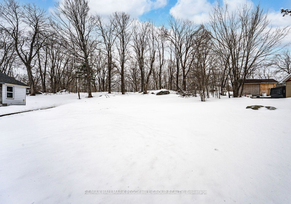 253-high-street-georgian-bay-ontario-x12925134