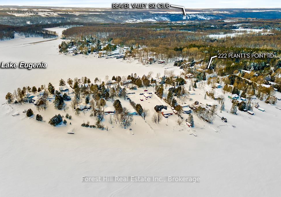 222-plantts-point-road-grey-highlands-ontario-x12925894