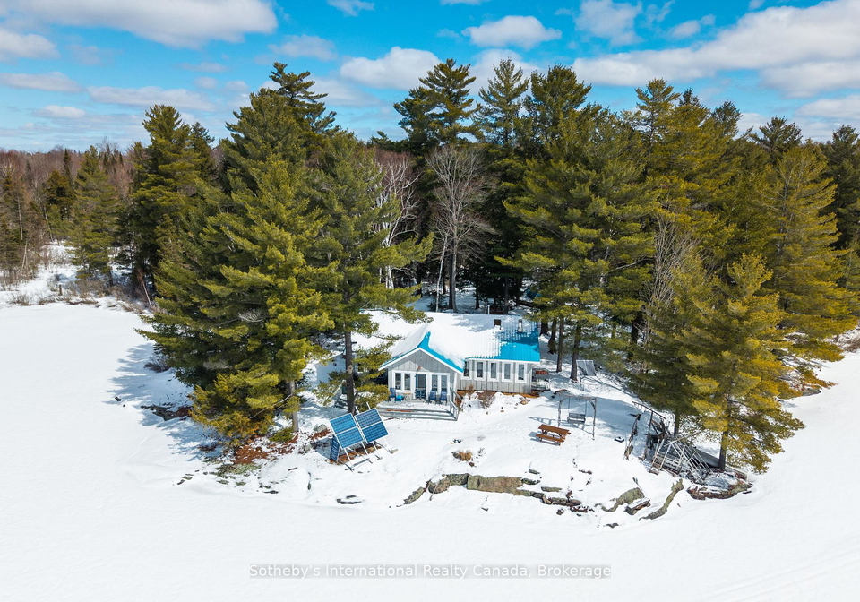 3301b-axe-lake-road-mcmurrichmonteith-ontario-x12928002