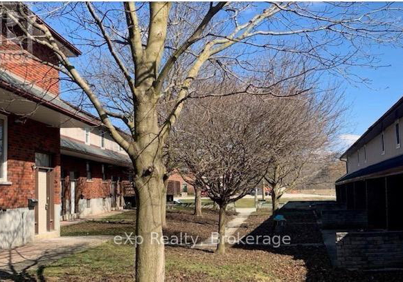 215-mcnab-street-brockton-ontario-x12931236