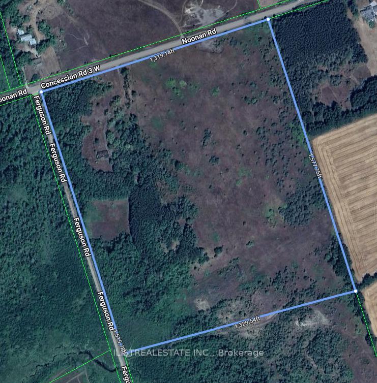 557-noonan-road-alnwickhaldimand-ontario-x12941622