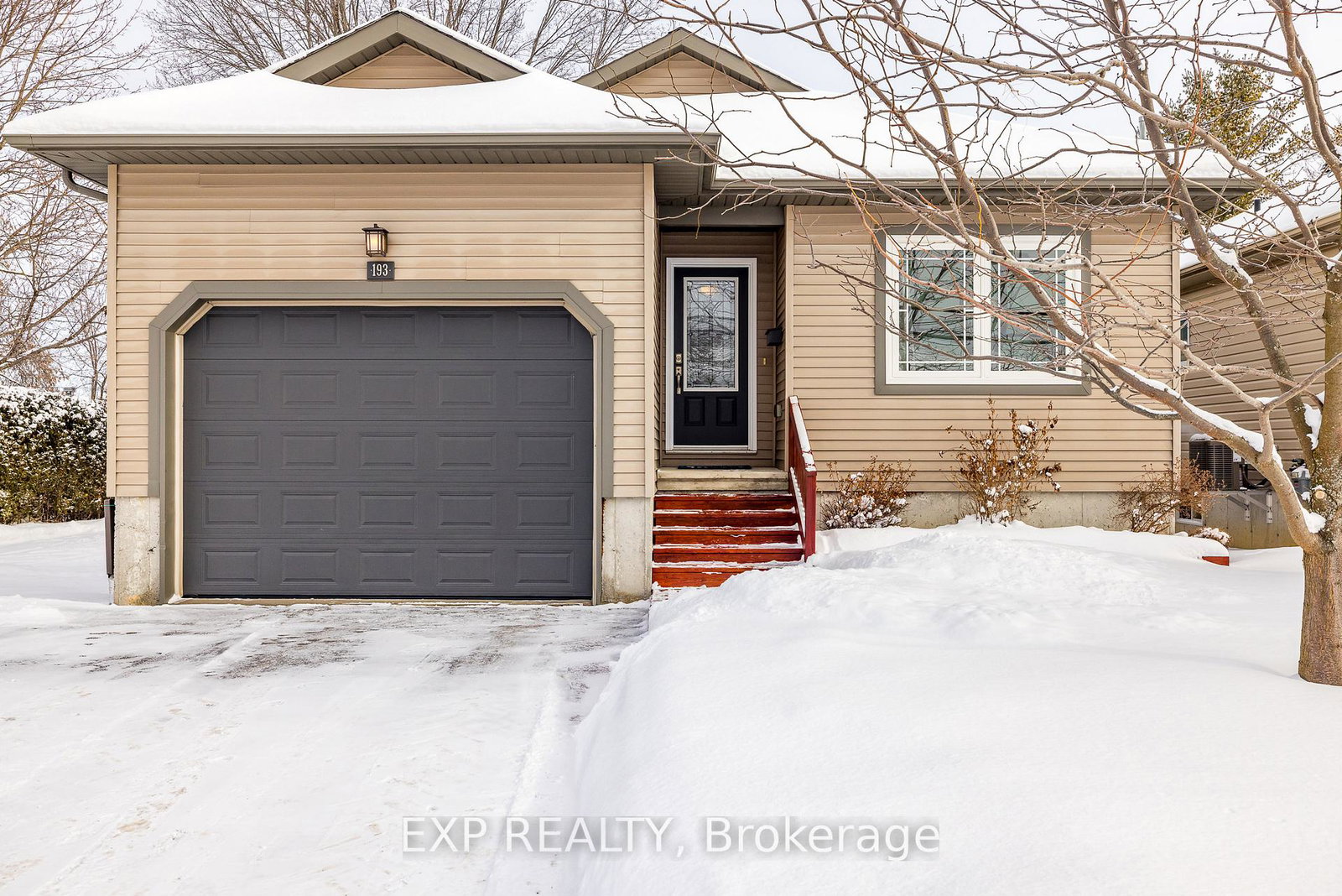 193-napoleon-street-carleton-place-ontario-x12942708
