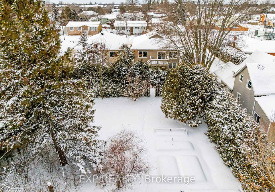 193-napoleon-street-carleton-place-ontario-x12942708