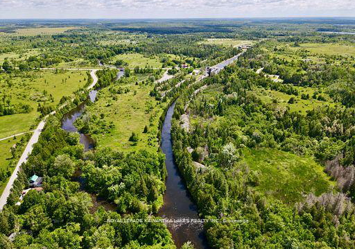81-mcguire-beach-road-kawartha-lakes-ontario-x12944454