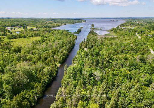 81-mcguire-beach-road-kawartha-lakes-ontario-x12944454
