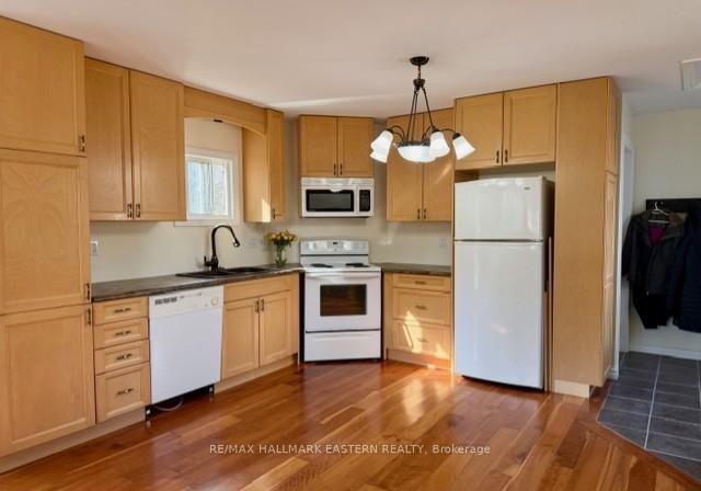 23-colbourne-street-w-selwyn-ontario-x12945054