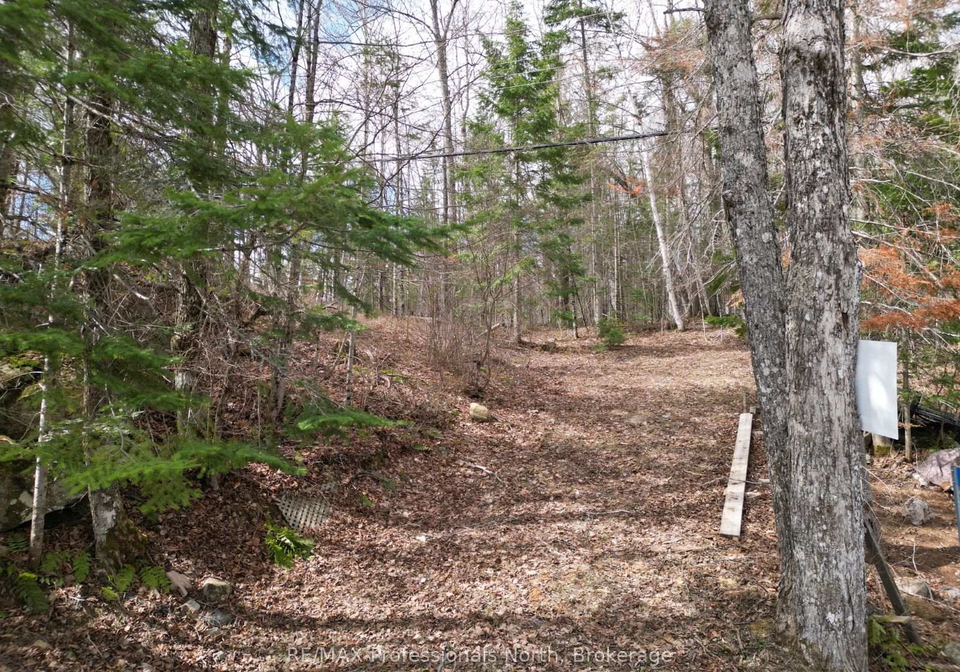 1027-dow-trail-dysart-et-al-ontario-x12945382