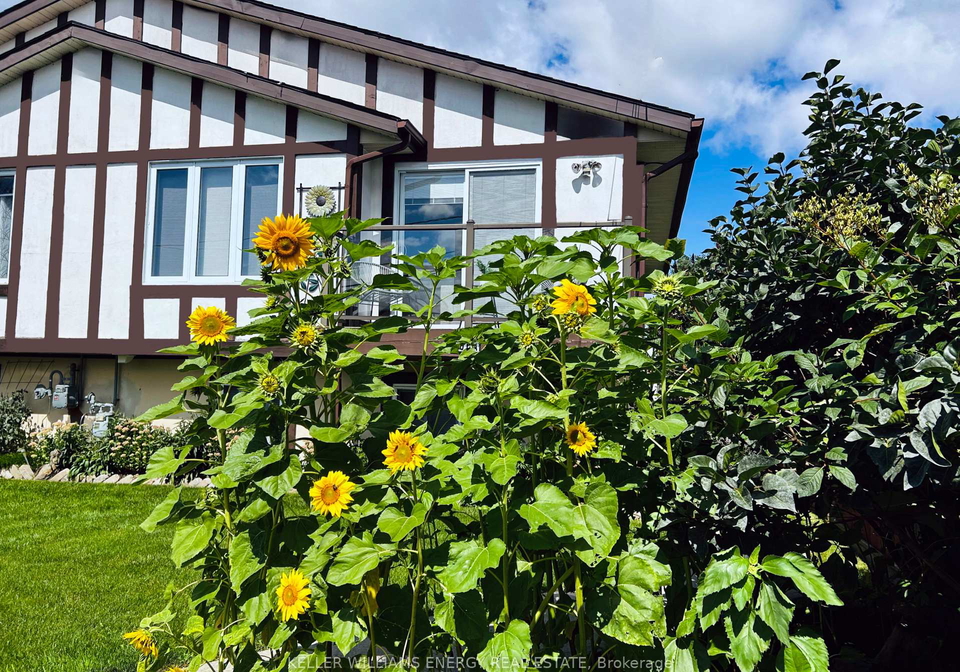 106a-wellington-main-street-prince-edward-county-ontario-x12946992