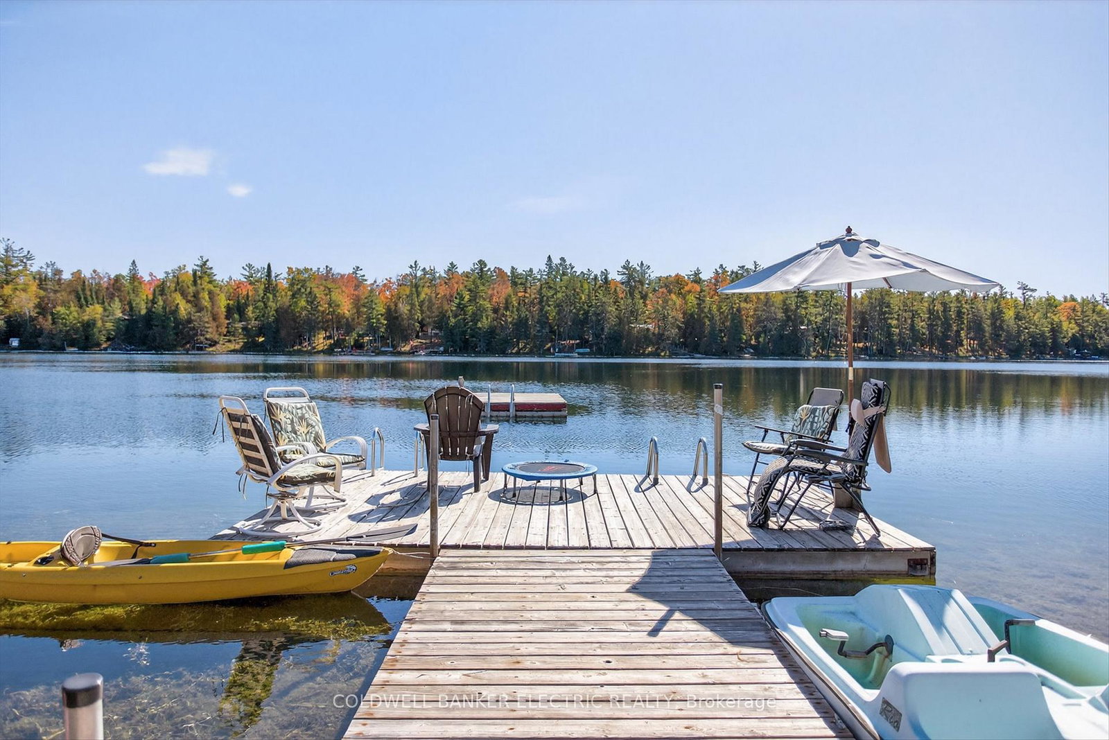 1352-county-road-49-kawartha-lakes-ontario-x12947458