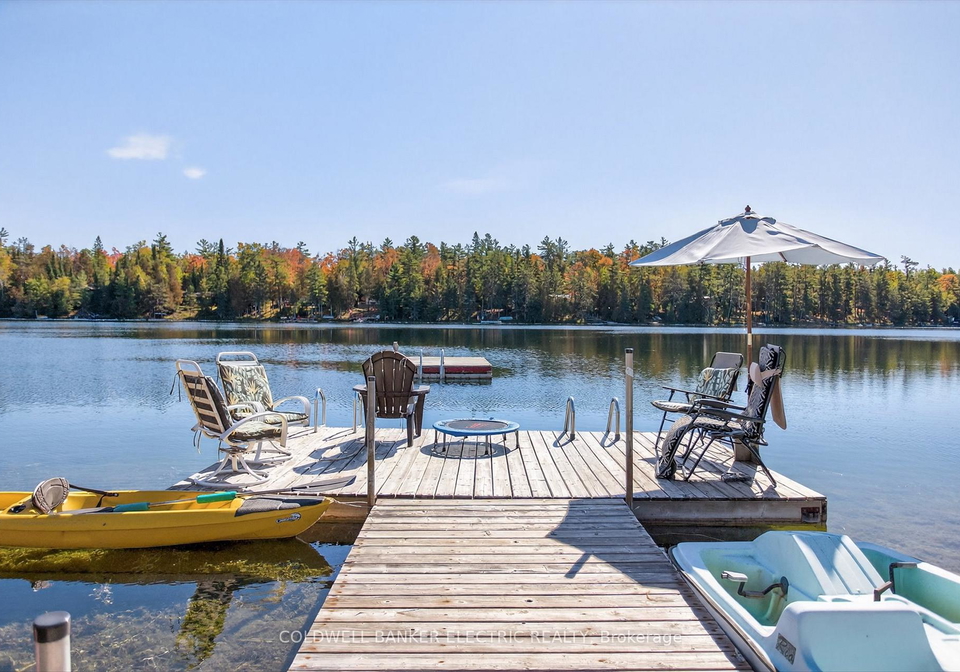 1352-county-road-49-kawartha-lakes-ontario-x12947458