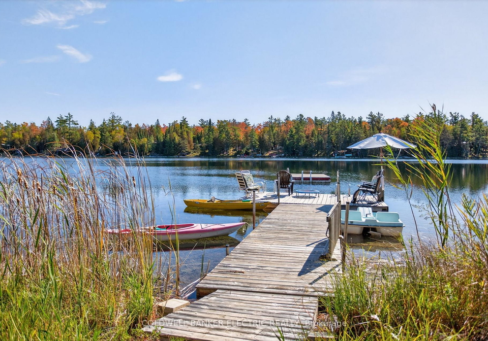 1352-county-road-49-kawartha-lakes-ontario-x12947458