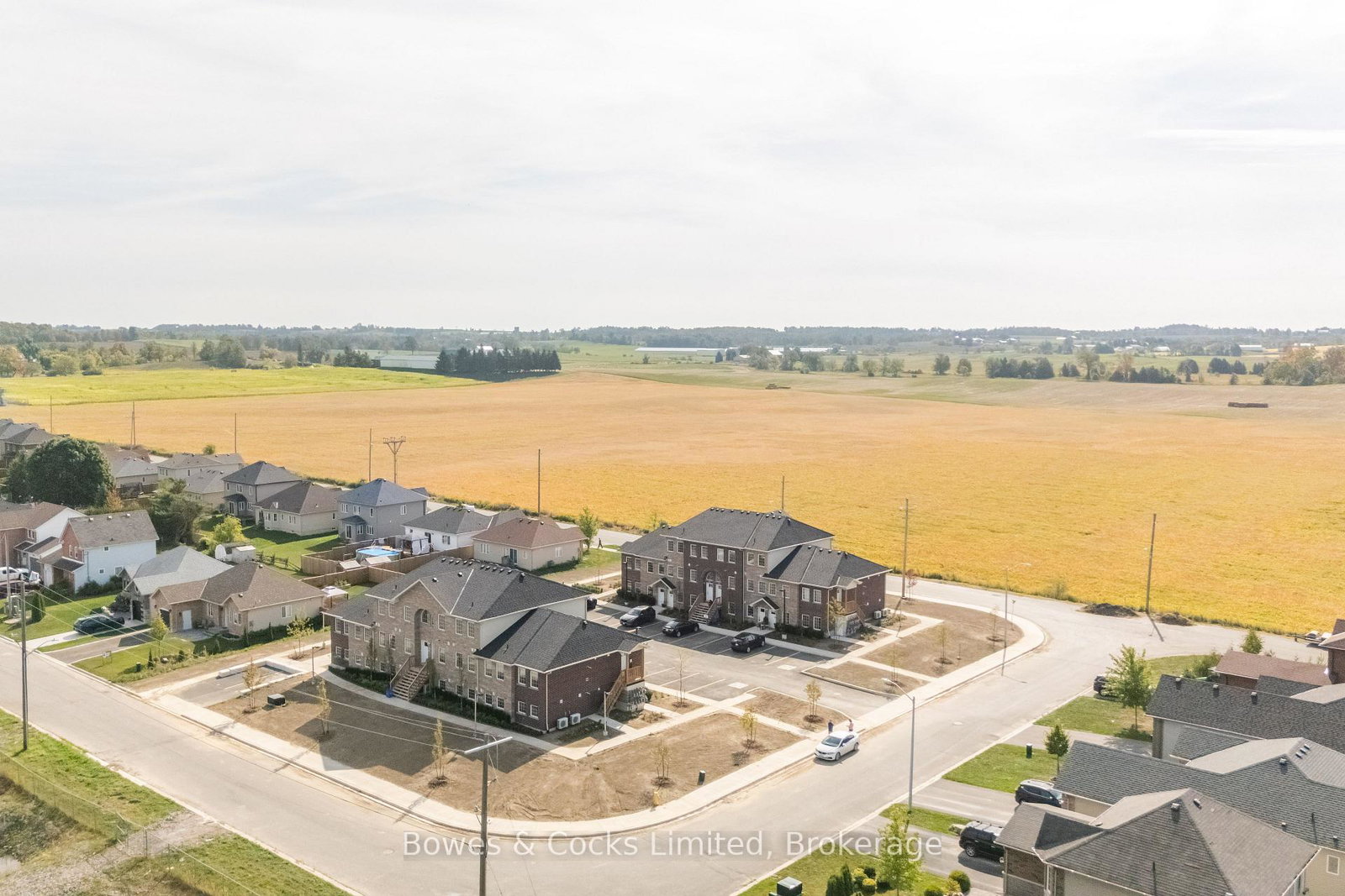 48-maple-avenue-asphodel-norwood-ontario-x12948078