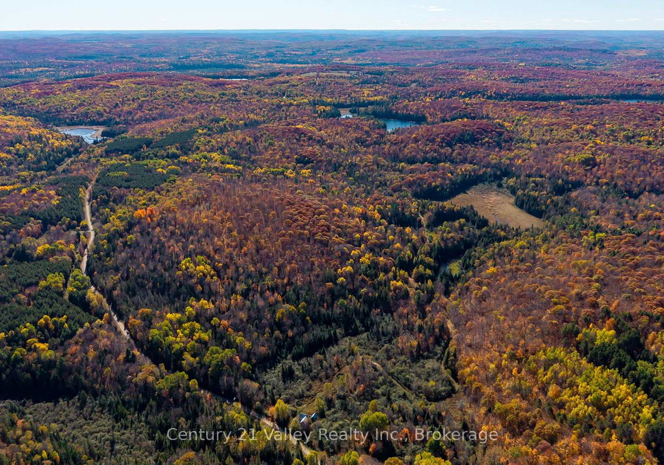 170-shavens-lake-road-bonnechere-valley-ontario-x12949094