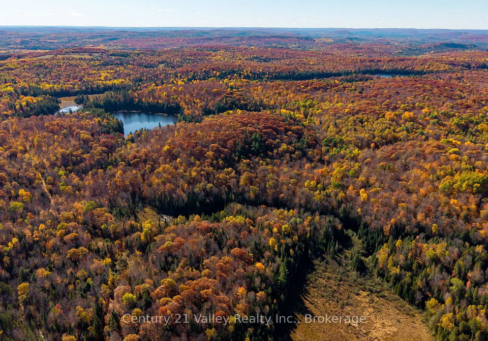 170-shavens-lake-road-bonnechere-valley-ontario-x12949094