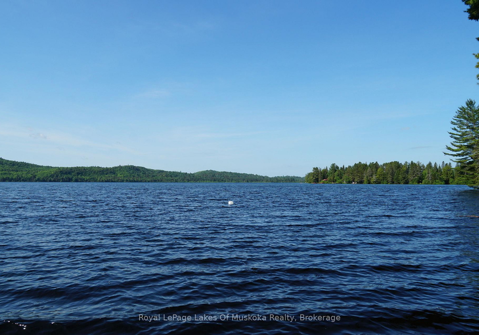 1173-lake-of-two-rivers-south-algonquin-ontario-x12950918