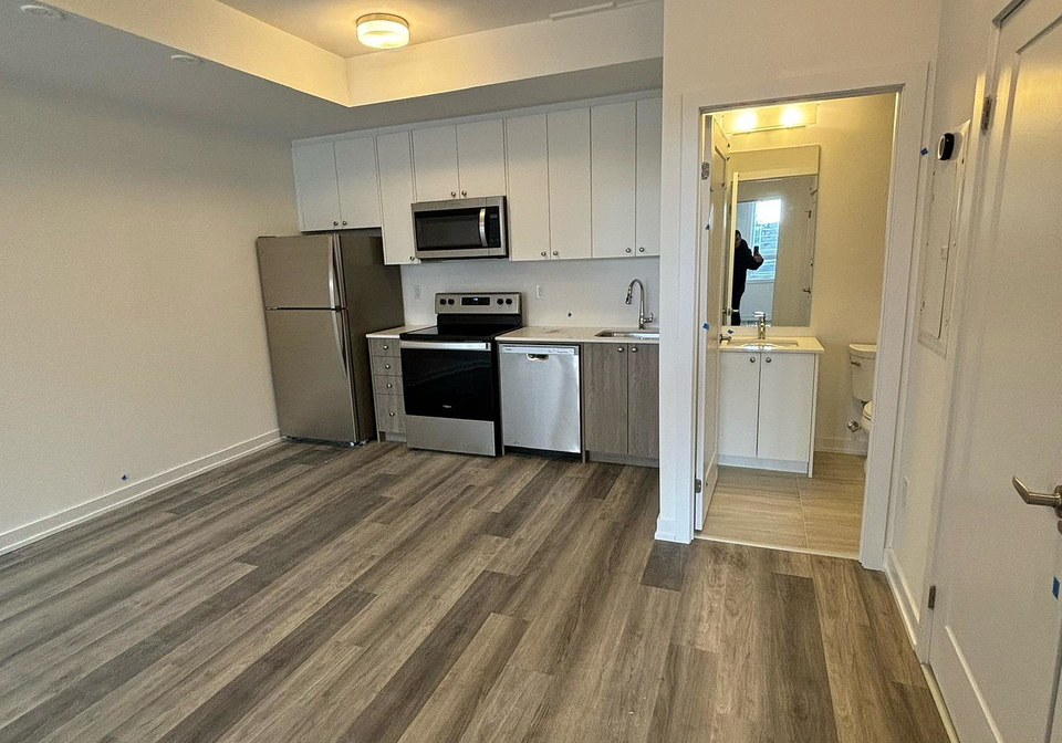 40-palace-street-kitchener-ontario-x12957558