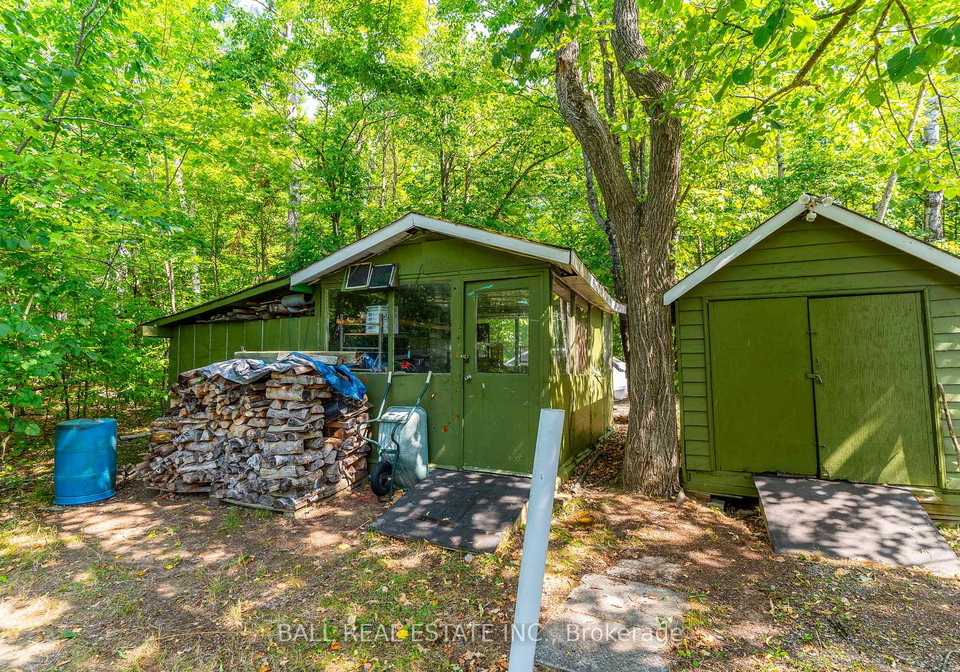 1017-ewles-drive-minden-hills-ontario-x12966764