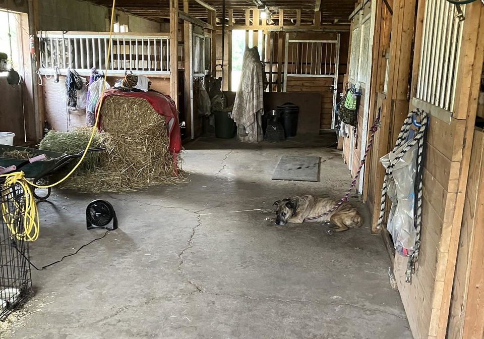 283-inman-road-haldimand-ontario-x12968228