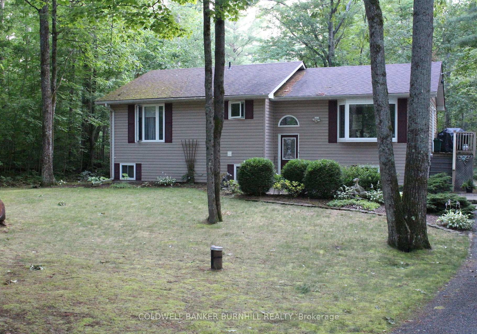 494-bel-twp-7th-lane-havelock-belmont-methuen-ontario-x12969498