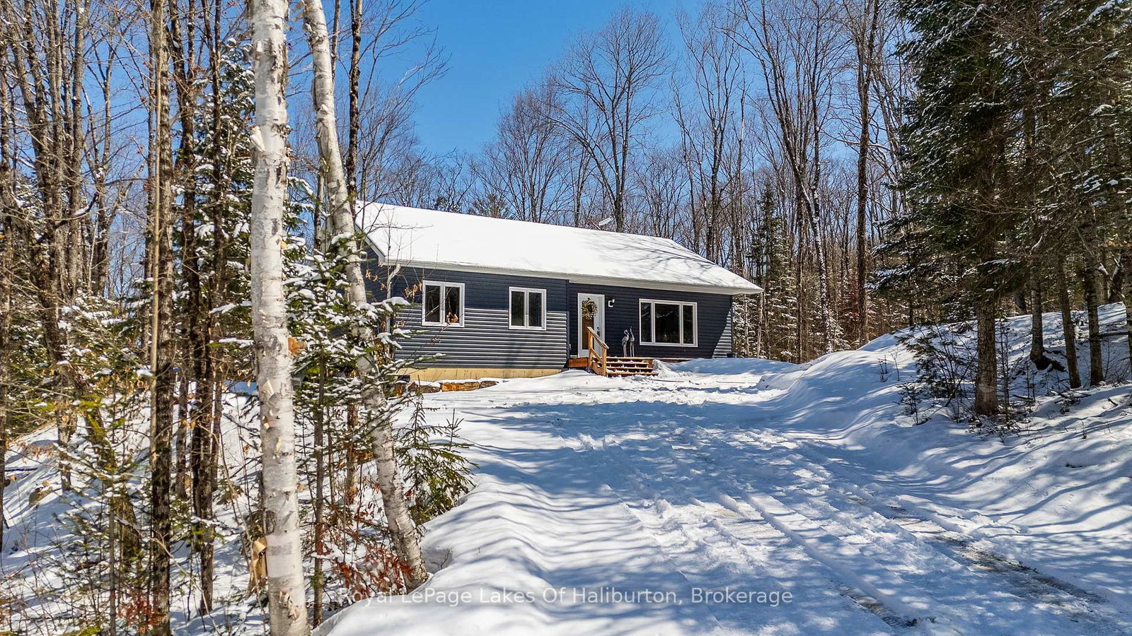 260-mountain-street-dysart-et-al-ontario-x12970822