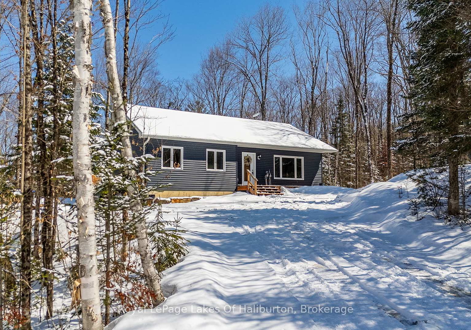 260-mountain-street-dysart-et-al-ontario-x12970822