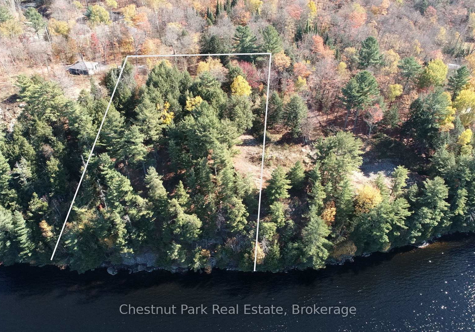 536-springfield-road-huntsville-ontario-x12974948