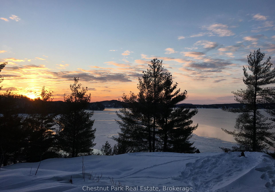 536-springfield-road-huntsville-ontario-x12974948