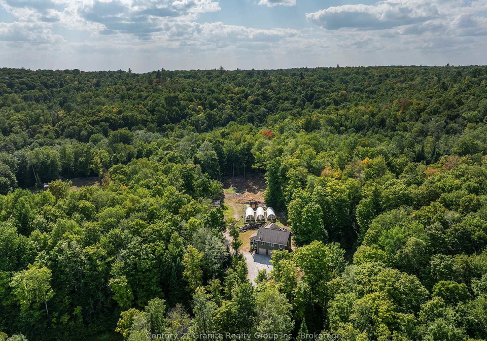 1071-dardanelles-road-dysart-et-al-ontario-x12975710