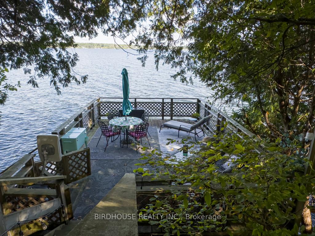 32-major-street-kawartha-lakes-ontario-x12976212